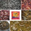 Fishing Bait For Shrimp Crayfish Eel