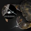LOOKSHOW Stainless Steel Crab Bait Cage